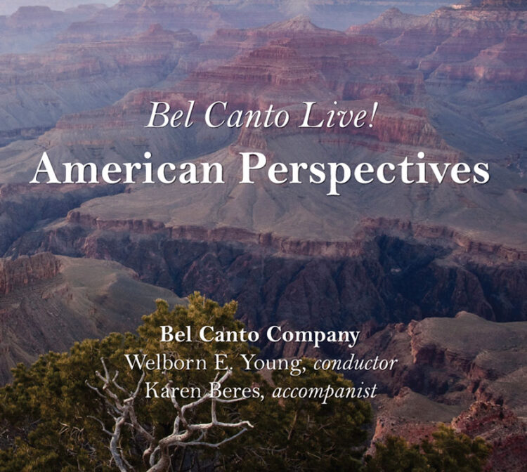 American Perspectives Cover Art