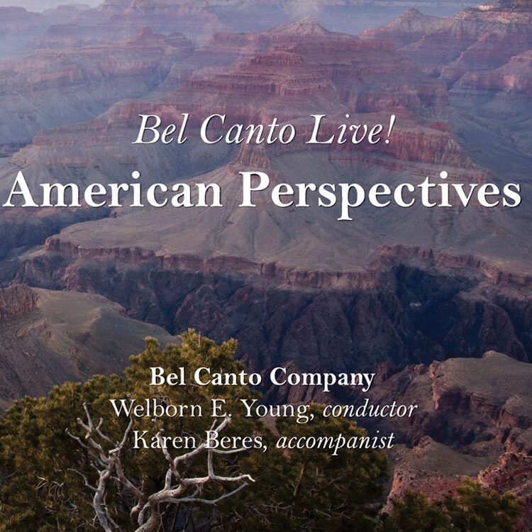 American Perspectives Cover Art