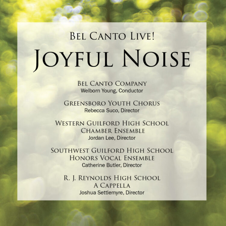 Joyful Noise Cover Art
